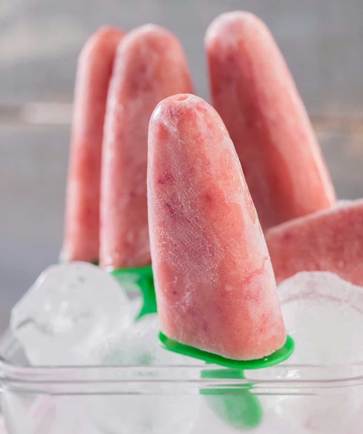 Thermomix Sugar-Free Fruity Ice Lollies