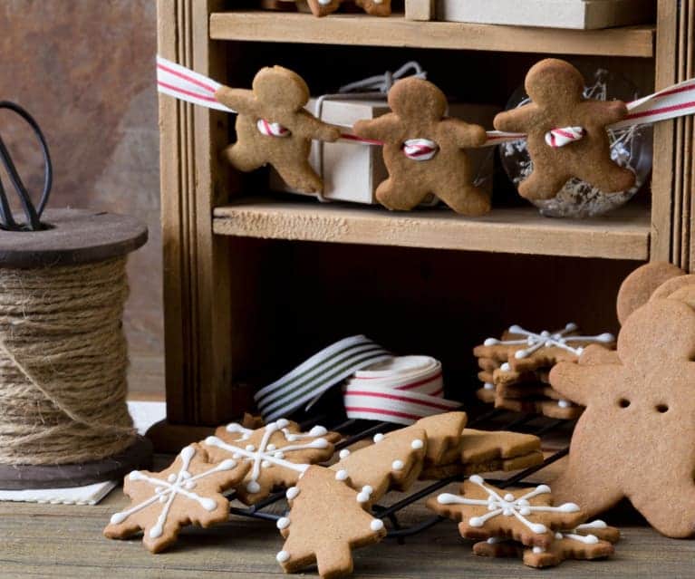 Thermomix Gingerbread man recipe